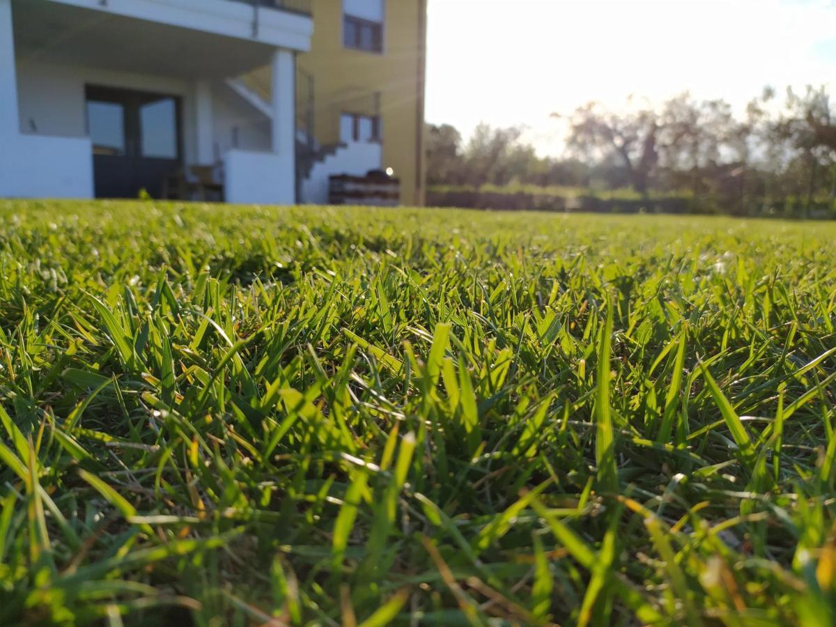 Natura E Mente Camere E Relax Vasto Dış mekan fotoğraf