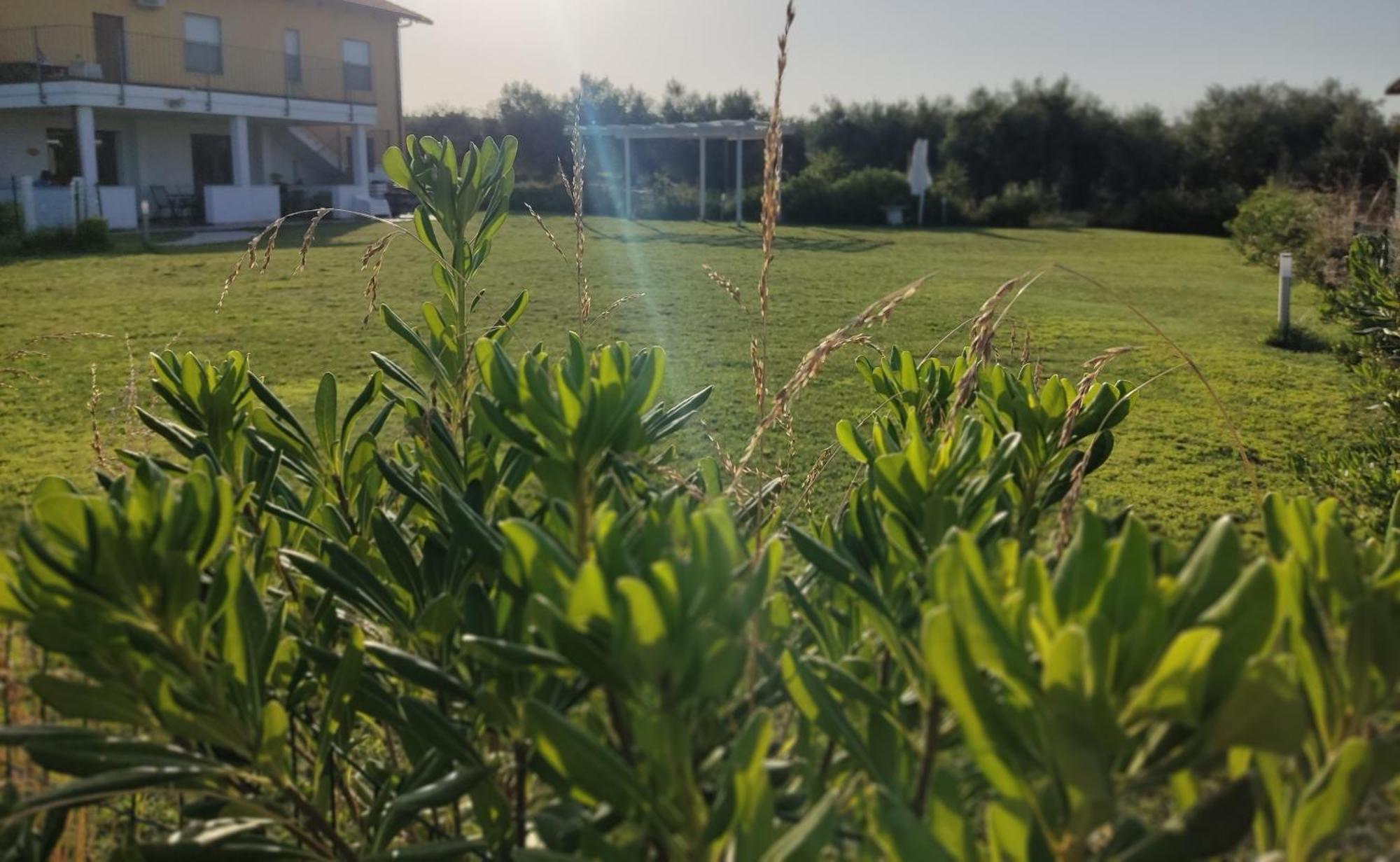 Natura E Mente Camere E Relax Vasto Dış mekan fotoğraf