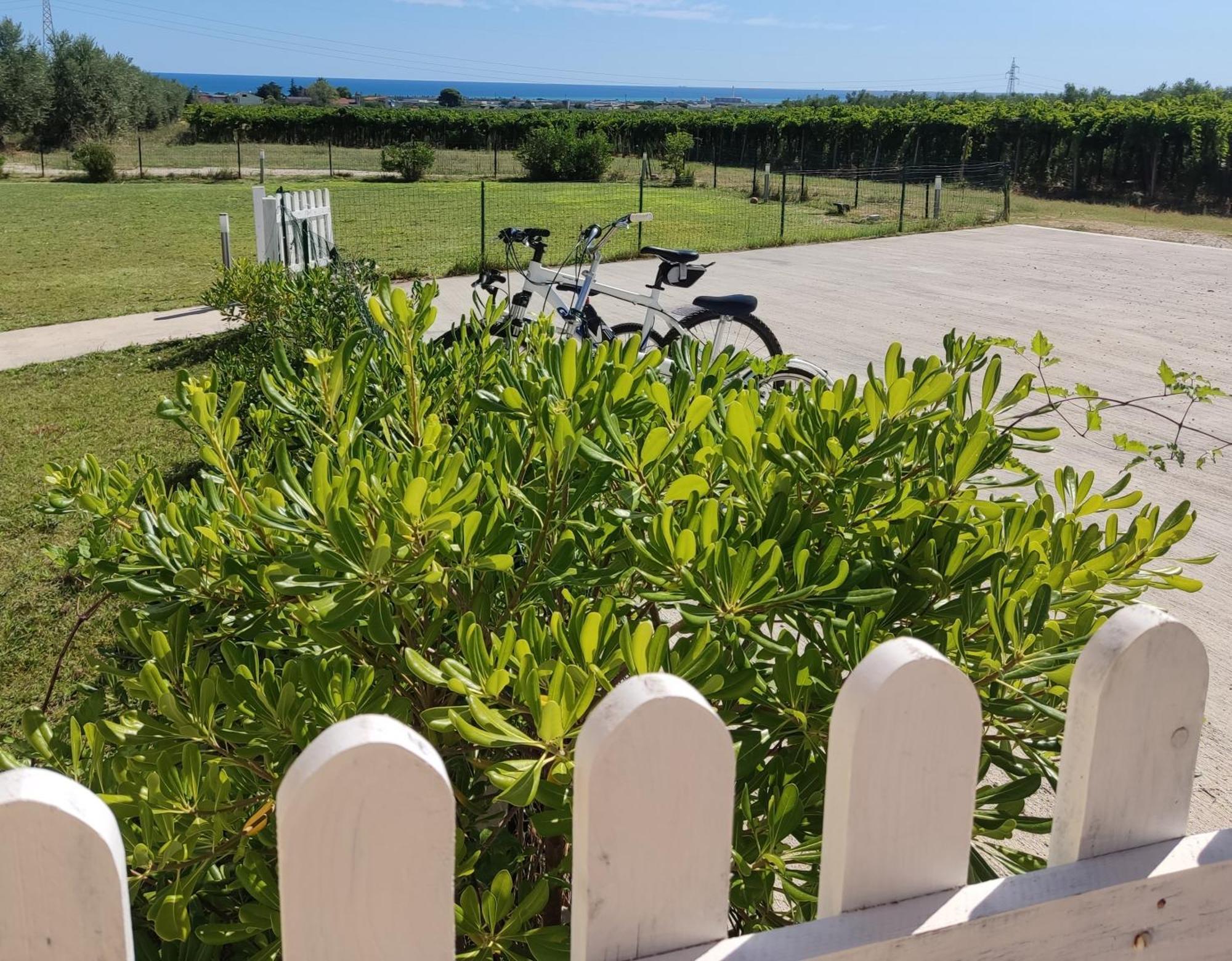 Natura E Mente Camere E Relax Vasto Dış mekan fotoğraf