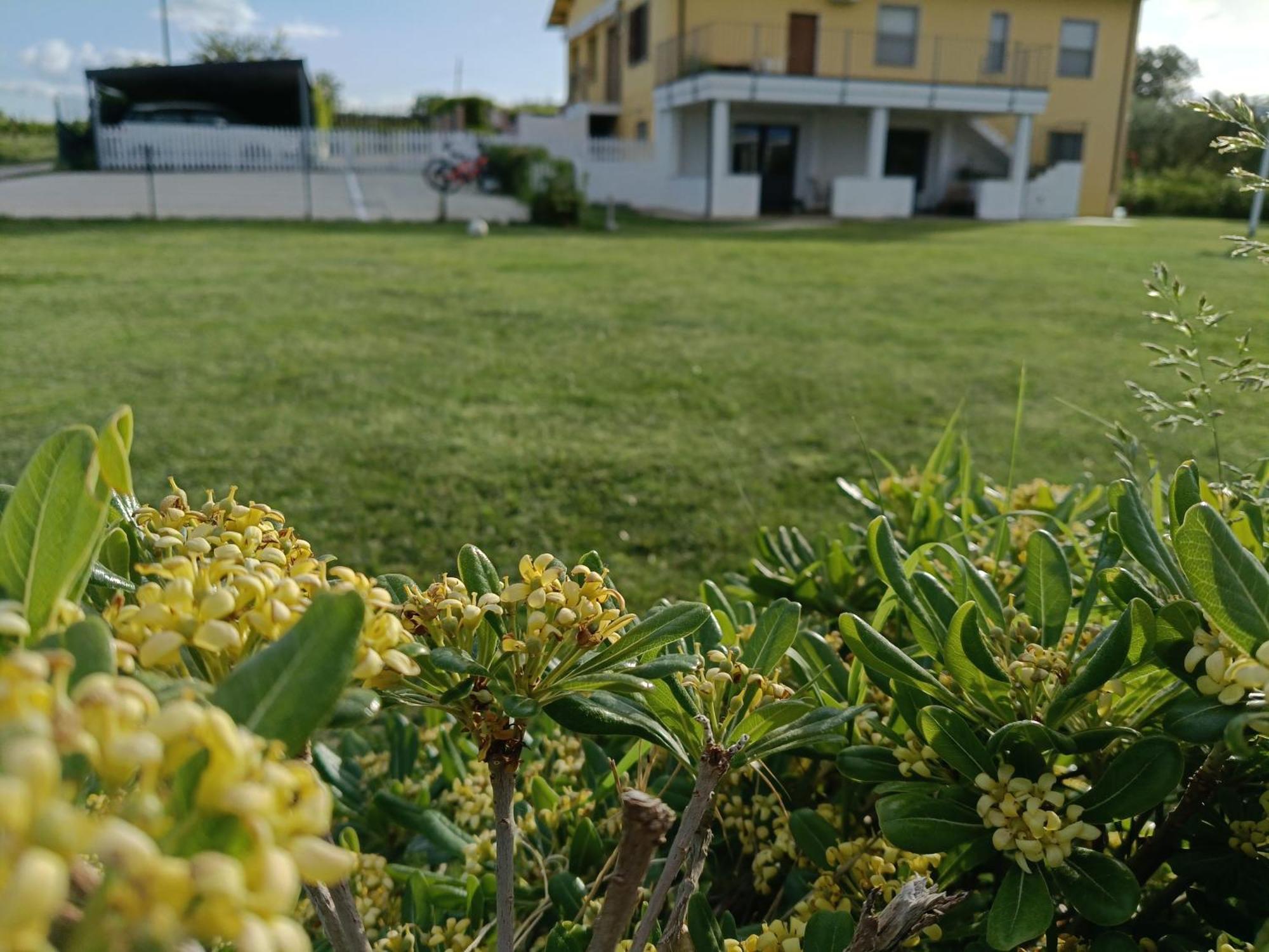 Natura E Mente Camere E Relax Vasto Dış mekan fotoğraf